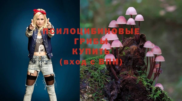 твердый Верхний Тагил