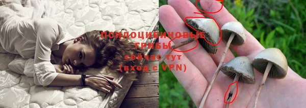 COCAINE Ладушкин
